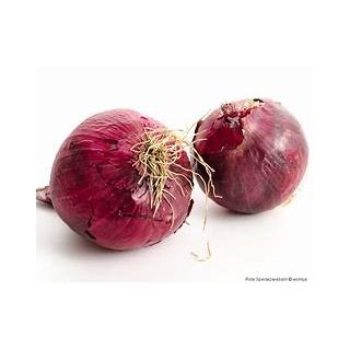 Zwiebeln rot