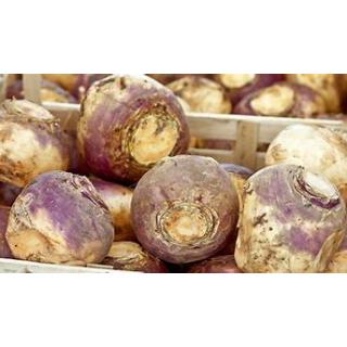 Steckrüben, Weißrüben